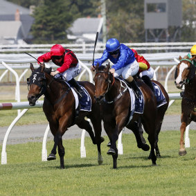 Asiago hits the frnt in the Spring Stakes at Newcastle.