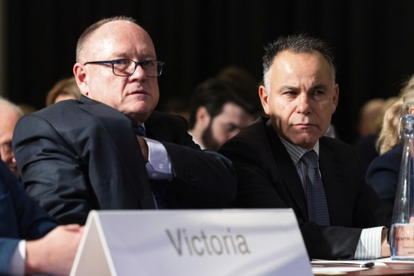 Victorian Liberal Party president Greg Mirabella (left) and state leader John Pesutto in June.