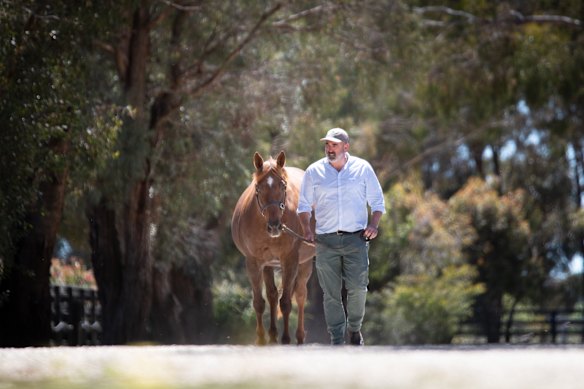 Yulong will put 30 yearlings through this month’s Magic Millions sale, all of whom survived October’s devastating floods. Sam Fairgray, pictured with mare Harlech.
