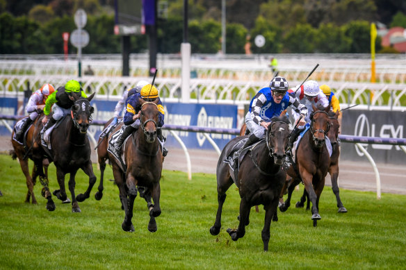 Gold Trip, ridden by Mark Zahra, takes out the 2022 Melbourne Cup.