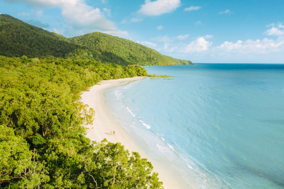 The rainforest almost kisses the Barrier Reef at Cape Tribulation.