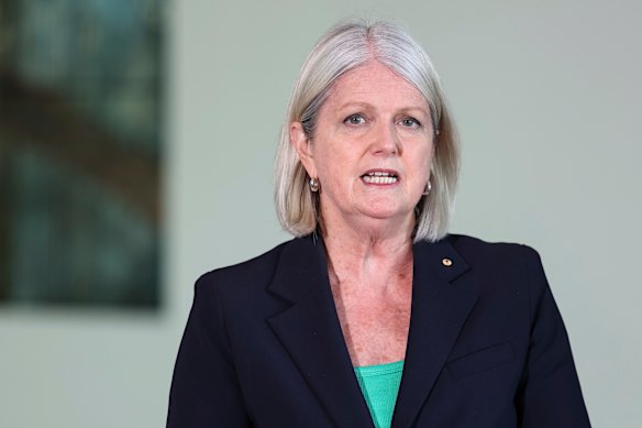 ACOSS CEO Cassandra Goldie is advocating for increased measures to protect vulnerable Australians from economic downturn.