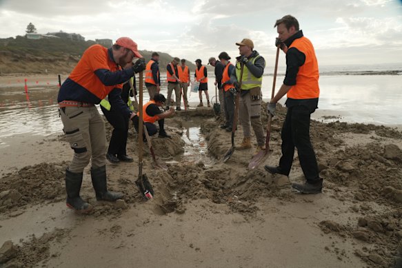 A team of scientists and construction battled the tide and weather to dig up an ancient whale fossil on Ocean Grove beach.