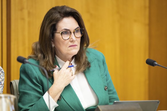 NSW senator Deborah O’Neill will lead the inquiry into financial abuse.