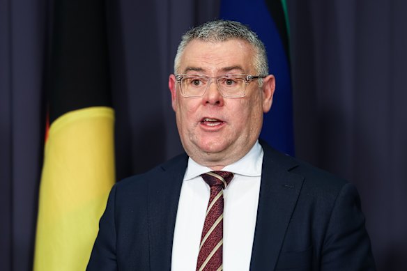 Environment Minister Murray Watt said the government was still working out the impacts of the decision. 