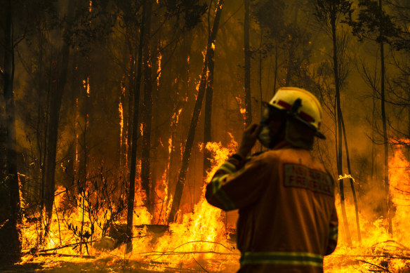 A firefighter attempts to protect a property on Tallow Wood Road from the Currowan fire.