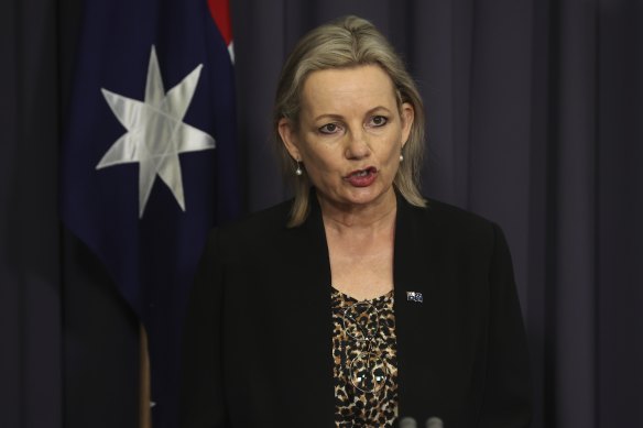 Federal Environment Minister Sussan Ley says she would like to see more nations follow Australia’s lead and regulate their plastic waste.