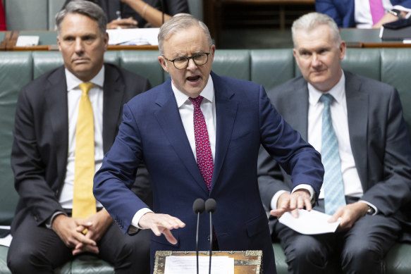 Prime Minister Anthony Albanese during question time. 