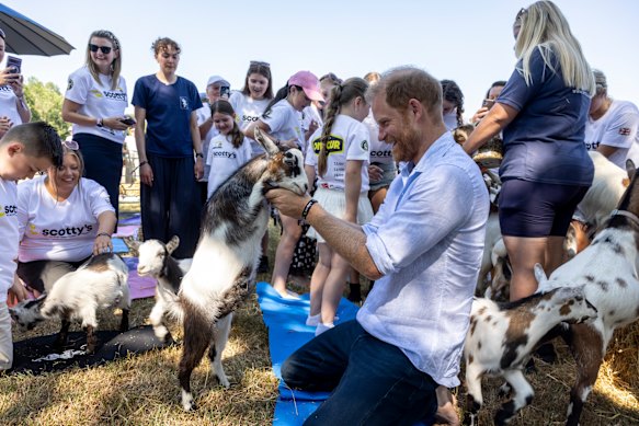 A Harry è stato detto di “sentire la libertà e la presenza” delle capre.