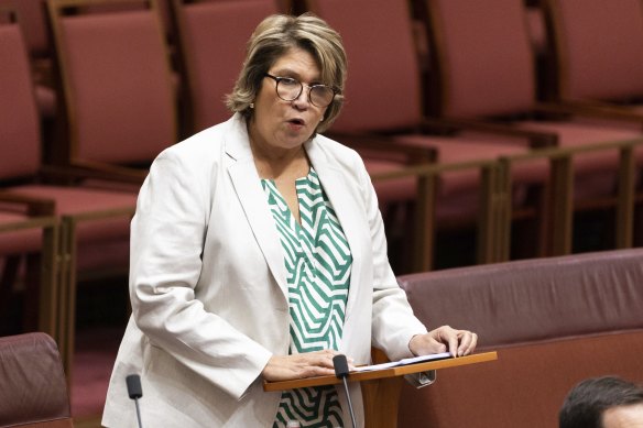 Senator Kerrynne Liddle says claims a failed Voice referendum would harm reconciliation are ‘outrageous’. 