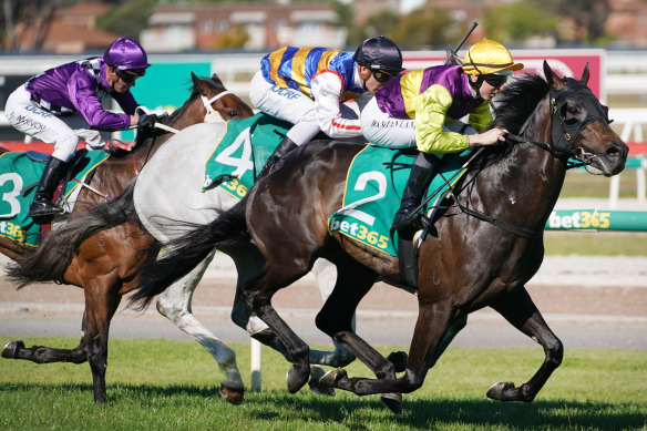 Long Jack beats Southern Moon and Relucent (left) in the Geelong Classic.