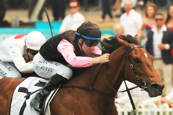 Sancy is on her way to Queensland after winning at Rosehill.