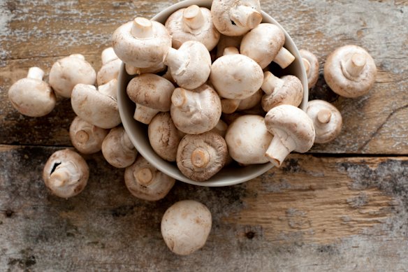 White mushrooms can be washed, not just wiped.
