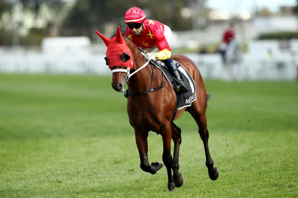 Caulfield Guineas favourite Militarize.