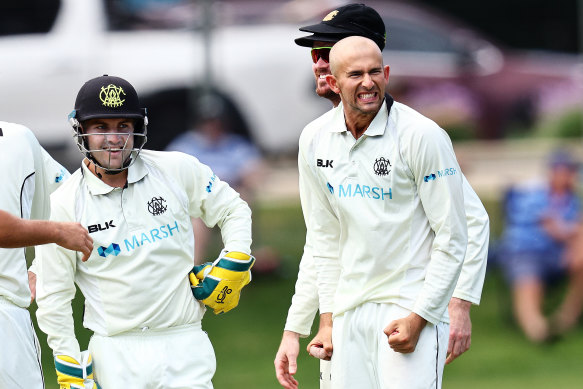 Ashton Agar celebrates a Sheffield Shield wicket.