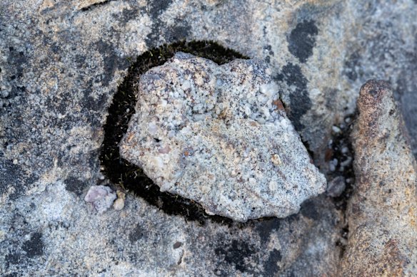 Rocks have moss growing around them, showing the lack of disturbance at the bush camp site 2.