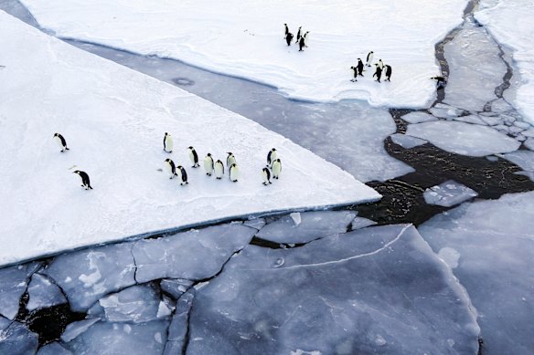 Changes unfolding in Antarctica are interlinked, placing pressure on the climate, sea levels and ecosystems.
