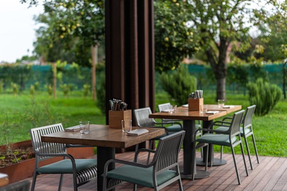 Dining amid the vines at Osteria Contemporanea.
