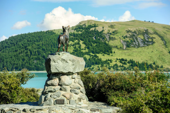 The famous dog statue in Tekapo, New Zealand.