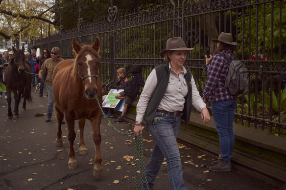 Colleen O’Brien, who runs Brumby Junction – a sanctuary solely for brumbies, two hours west of Melbourne in Glenlogie – at a Save The Brumby protest at Parliment House in Melbourne.