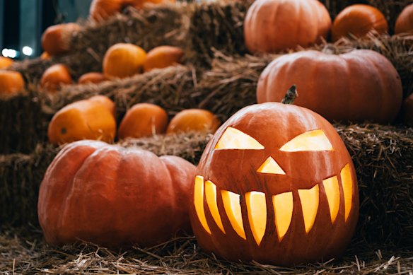 Halloween is more popular in Australia than it used to be. 