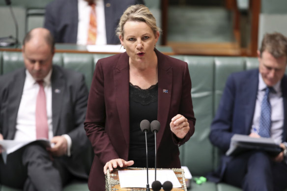 Environment Minister Sussan Ley.