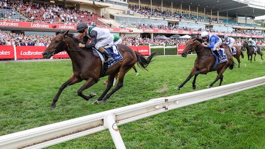 The All-Star Mile field will no longer be voted by the public.