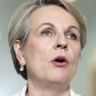 Plibersek names the enemies: deepfake porn, anti-feminist algorithms, the manosphere