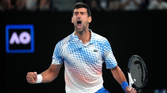 Novak Djokovic is chasing his 10th Australian Open crown and 22nd grand slam title.