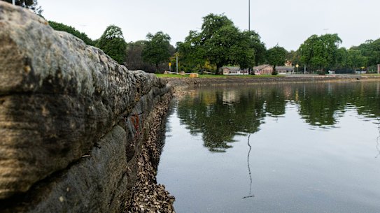 Inner West Council announce new opening date for a Parramatta River swimming bath planned for the embankment adjacent to the Callan Park Sporting Ground.