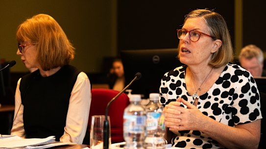 Chief Health Officer Kerry Chant, right, speaking at the inquiry in November.