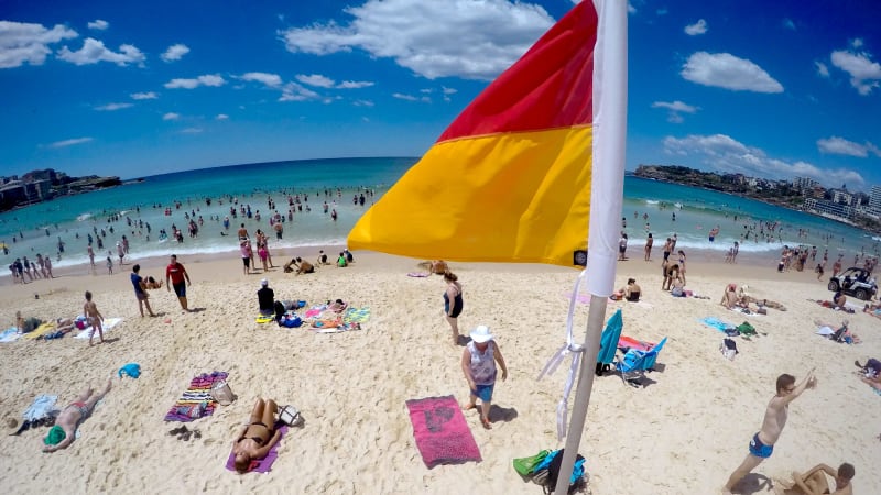 Image Result For  Day Travel Pass Sydney