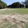 'Huge damage': State government urged to commit $40 million to restore Moore Park