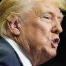 New details revealed about Trump bullet wound