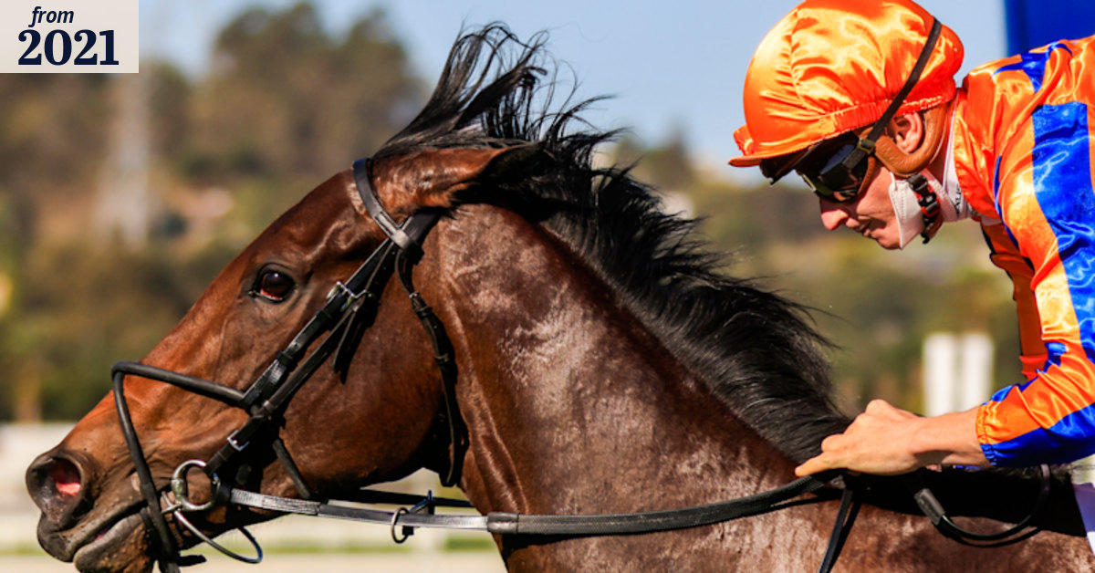 Race-by-race preview and tips for Rosehill on Saturday