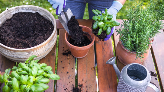 Easter is a great time to repot your plants and get your garden looking sellable.