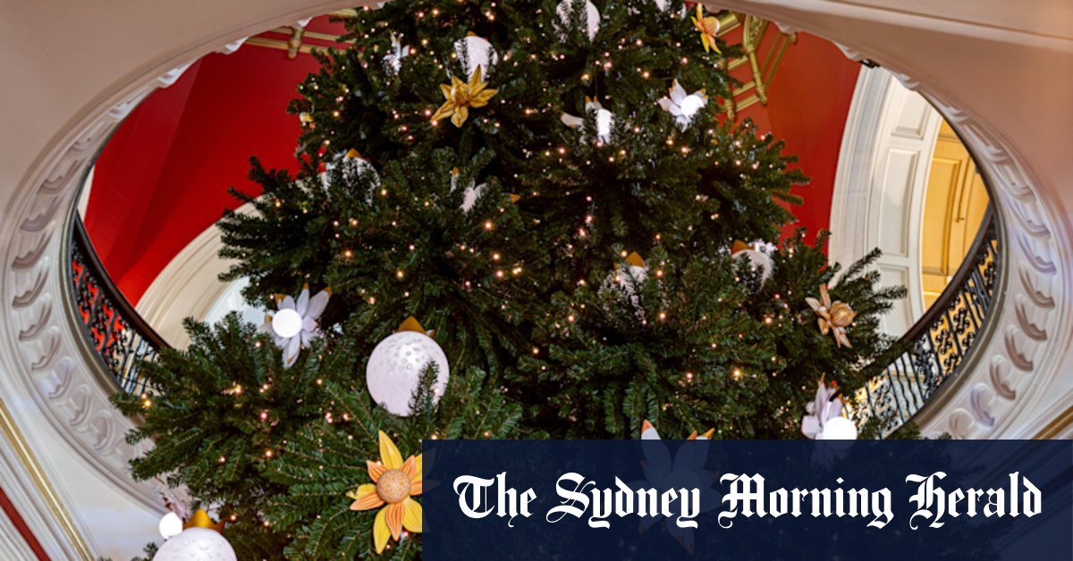 See Christmas come alive at Queen Victoria Building - Vimarsana News
