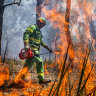 Firefighters have been carrying out planned burns in at-risk areas, such as Bendigo National Park.