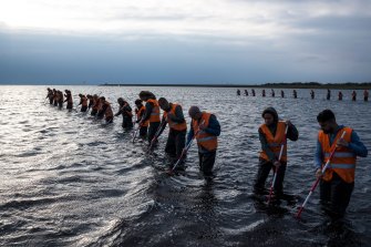 Volunteers search for the remains of journalist Kim Wall off coast of Copenhagen in The Investigation.