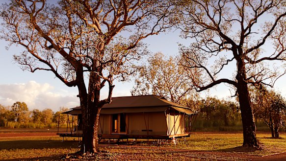 Wildman Wilderness Lodge is an unforgettable experience, its safari tents perched on timber platforms, with thick dun-coloured canvas “walls”.