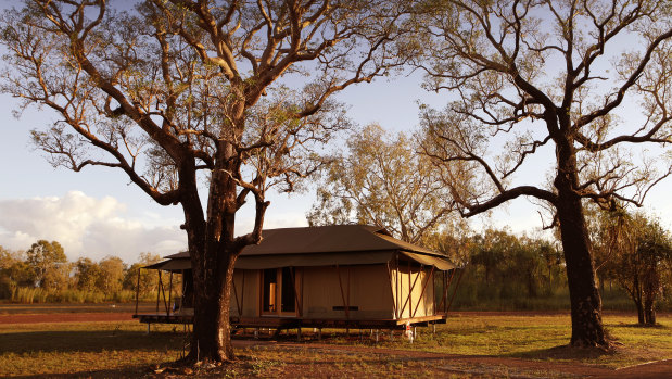 Wildman Wilderness Lodge is an unforgettable experience, its safari tents perched on timber platforms, with thick dun-coloured canvas “walls”.