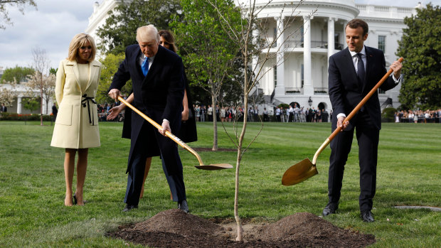 US President Donald Trump and French President Emmanuel Macron planted the tree on the south lawn of the White House on April 23, 2018. 
