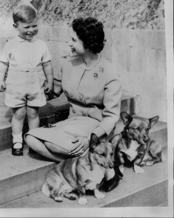 Prince Andrew with his mother, Queen Elizabeth II together with a couple of the famous Royal corgis in the grounds of Windsor, August 2, 1962.