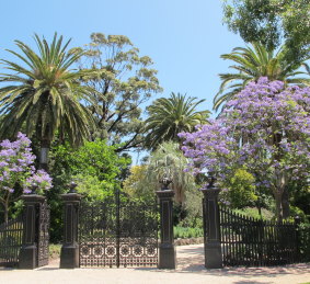  The botanic gardens in Williamstown.