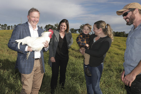 Anthony Albanese and Kristy McBain meet with poultry farmers Lyndal and  Dan Tarasenko and their son Leo.  The byelection is a chance for Anthony Albanese to show his campaigning skills.
