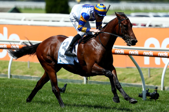 Jockey John Allen rides Adelaide Ace to victory in the Caulfield Autumn Classic.