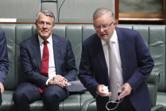 Shadow attorney-general Mark Dreyfus, left, with Labor leader Anthony Albanese.