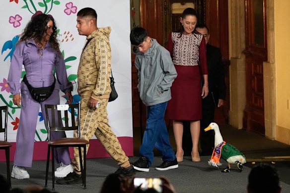 Merlin the duck, dressed in a Mexican national soccer team jersey, bottom right, enters the daily press conference by Mexican President Claudia Sheinbaum, top right, with his caretakers, brothers Carlos and Christian Gomez, and their mother Carla.