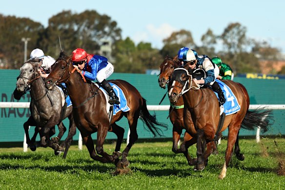 War Eternal (second from left) wins at Rosehill last August.