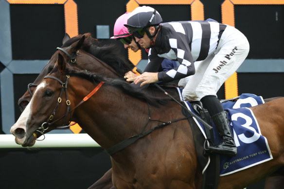 Josh Parr winning on Disneck at Randwick on December 14.